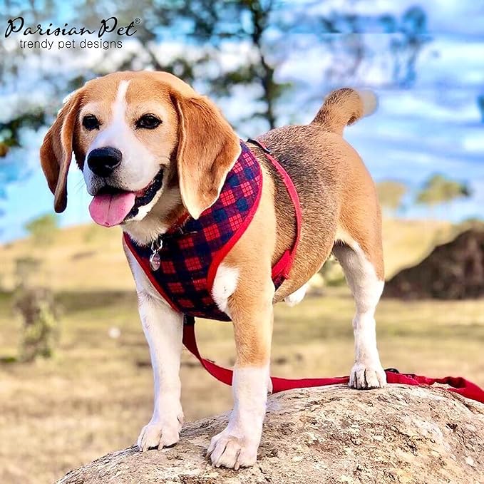 Parisian Pet Dog Harness - Adjustable Plaid Red Dog Vest Harness - 100% Mesh Fabric No Pull Puppy Harness - Cooling Dog Harness for Large Dogs - Idle for Walking, Running, and Hiking - L