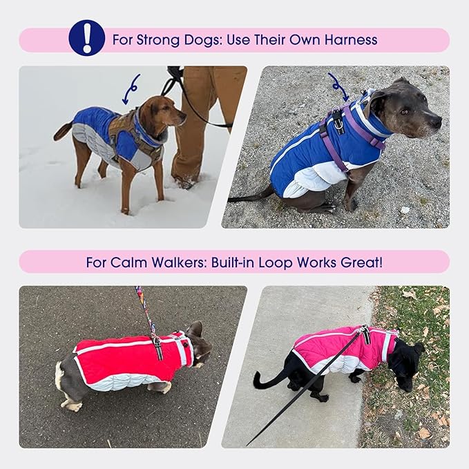 FUAMEY Dog Coat for Small Dogs,Waterproof Dog Winter Jacket with Harness Built in Puppy Cold Weather Coats Reflective Pet Vest with Zipper Warm Fleece Dogs Snowsuit Windproof Red XS