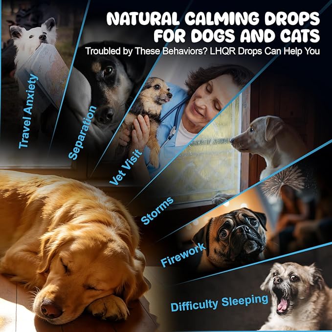 Cat Melatonin Natural Calming Liquid - 60ML Calming Drops for Dog for Anxiety & Stress Relief - Separation, Thunder, Fireworks Support - Calming Pet Supplement for Small Large All Breeds