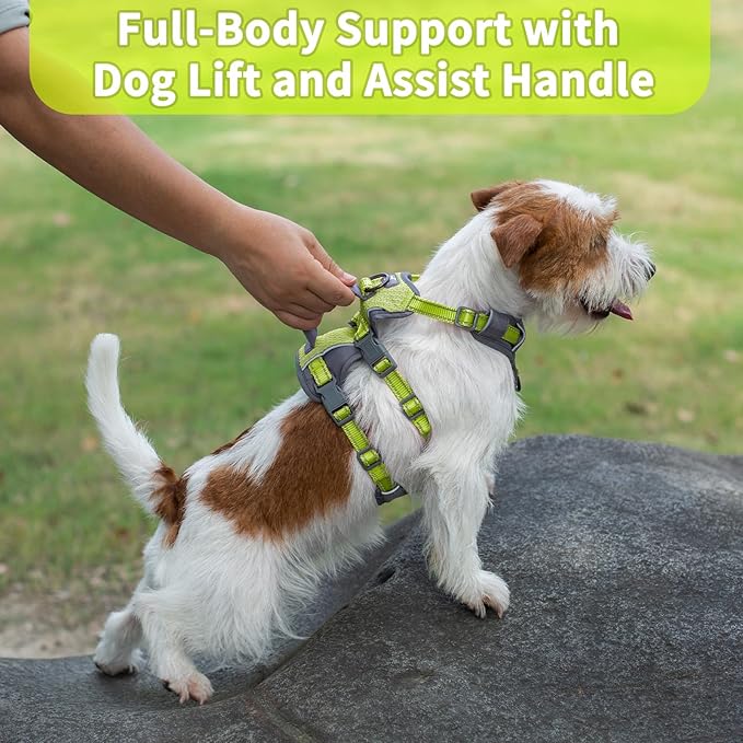 Huntboo Reflective Dog Harness with Handle, Escape Proof, No Slip, Breathable, Lightweight, Adjustable Lift Harness for Small,Medium,and Large Dogs Walking, Training, and Running Gear(Bright Green,XS)