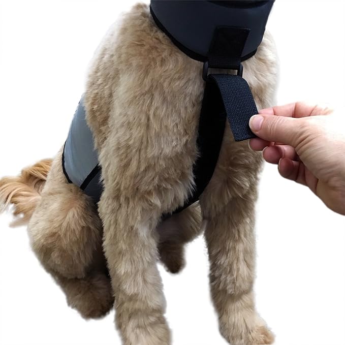 CoolerDog Dog Cooling Vest and Cooling Collar - Ice Vest for Dogs Small (18" to 22" Girth)