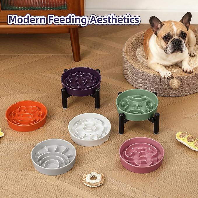 Elevated Slow Feeder Dog Bowl - Ceramic Maze Dog Food Bowl with Stainless Stand - Raised Slow Feeder for Small Breeds to Control Eating Speed - 6.3 Inch - 0.8 Cups (80g) - Pink