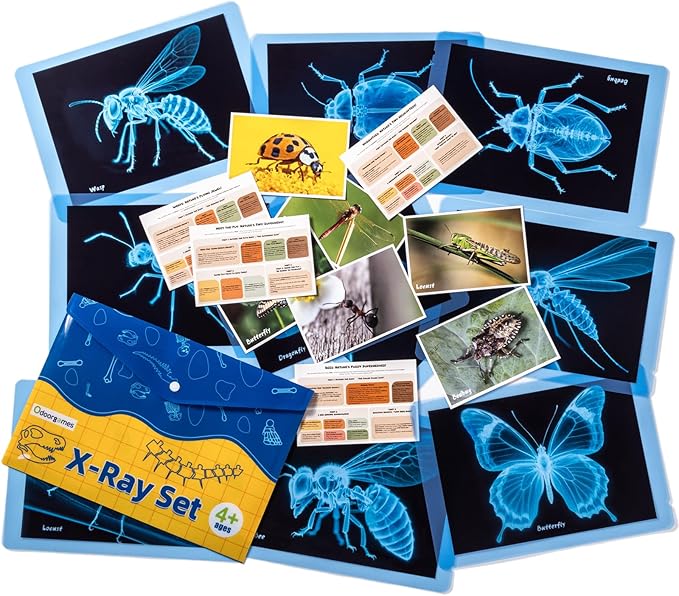 Insect Xrays – Bug Science Kit - Bug Detectives for Kids, Light Table Accessories, STEM Learning Insect X-Ray Set