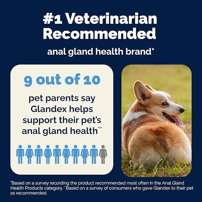 Vetnique Glandex Anal Gland Soft Chew Treats with Pumpkin for Dogs Digestive Enzymes, Probiotics Fiber Supplement for Dogs Boot The Scoot (30ct, Peanut Butter Chews)
