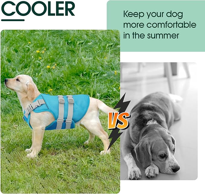 Kuoser Cooling Vest for Dogs, Large Cool Shirt for Dog, Pet Ice Jacket with Reflective Stripe, Doggie Beach & Summer Essentials Blue XL