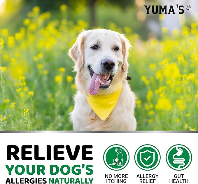 Dog Allergy Relief Chews - Dog Itching Skin Relief Treatment Pills - 170 Treats - Anti-Itch - Itchy and Paw Licking - Hot Spots - Omega 3 Fish Oil - Dry Skin & Coat Supplement - Beef Liver Flavor