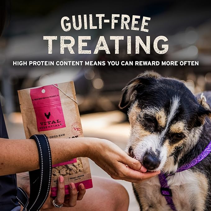Vital Essentials Beef Bites Dog Treats, 2.5 oz | Freeze-Dried Raw | Single Protein | Premium Quality High Protein Training Treats | Grain Free, Gluten Free, Filler Free