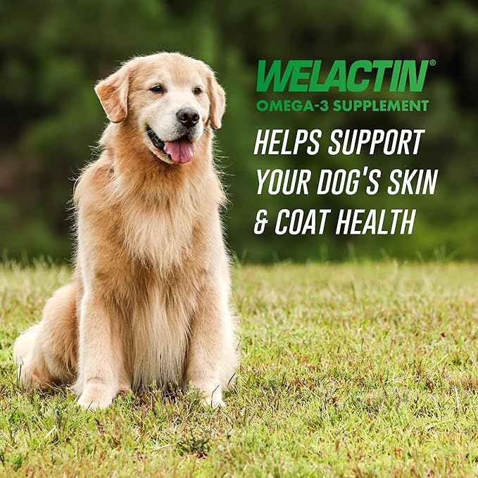 Nutramax Welactin Omega 3 Fish Oil for Dogs, Skin and Coat Health Supplement, Plus Joint, Immune, Kidney, and Brain Support, Premium Omega 3 Fatty Acids, For Dogs of all Sizes, 16 Ounce Liquid (3 Pk)