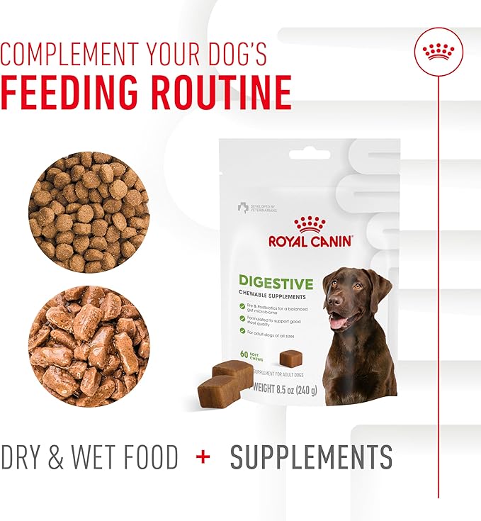Royal Canin Digestive Dog Supplement Soft Chews for Adult Dogs, 60 Count (Pack of 2)