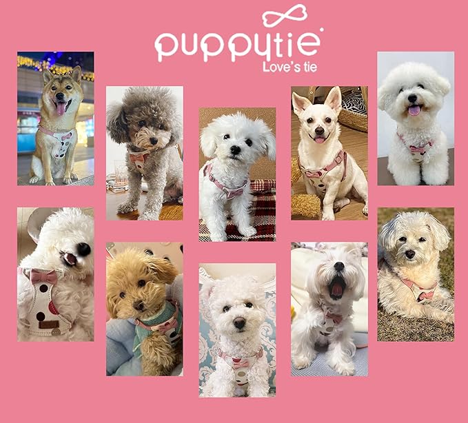 Puppytie No Pull Small Dog Harness with Multifunction Dog Leash,Lightweight Soft Adjustable No Choke Escape Proof Pet Harness Vest Pet Harness Vest,Polka dots Pink,S