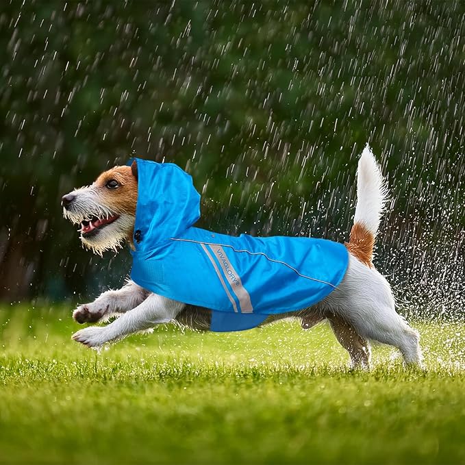 VIVAGLORY Wetoff Dog Raincoat, Rain Coat for Dog All Seasons Adventure, Rain Jacket with Harness Hole & Hood, Reflective Lightweight Waterproof for Doggy & Puppy, L, Blue
