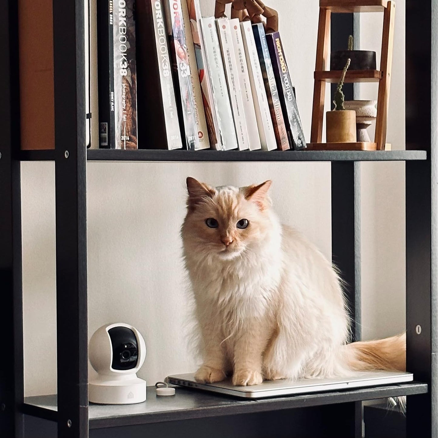 Indoor Pan/Tilt Pet Camera 1080p — Motion Detection, Night Vision, 2-Way Audio