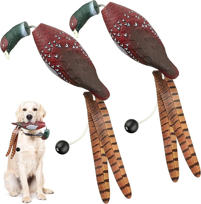 Saillong 2 Pack Pheasant Dog Toy, Bird Duck Dog Training Supplies, Hunting Dog Training Dummy Launcher Dog Training, Retriever Training Floating Dead Fowl Trainer Pheasant for Dog Training