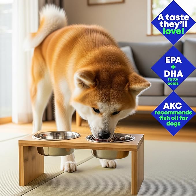 Wild-Caught Alaskan Salmon & Pollock Oil for Dogs – Omega-3 for Itchy Skin, Shedding, Allergies & Joint Support – NASC Certified – 8oz Liquid Food Topper | Club Hachiko