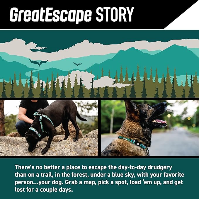 Wolfgang Heavy Duty Adjustable Dog Harness, Pull-Tested to Over 800 lbs for Walking & Training, GreatEscape Print, Small