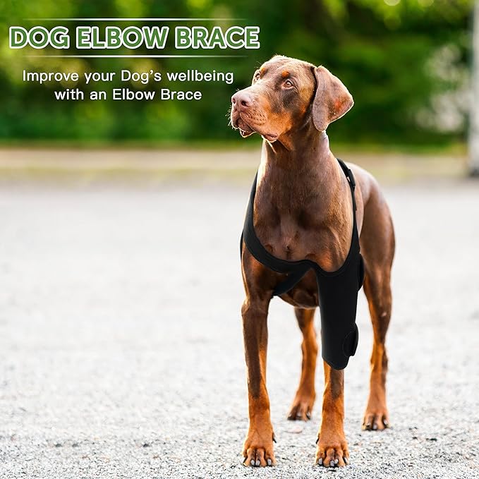Dog Elbow Brace for Pets Elbow Dysplasia, Shoulder Dislocation - Offers Elbow Support, Dog Recovery Suit Taper Collar Alternative, Helps Wound Healing, Prevents Licking and Biting, M