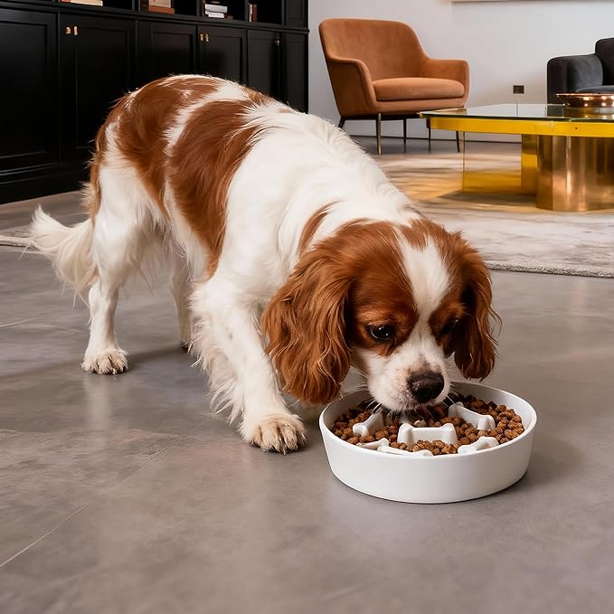 Ceramic Slow Feeder Dog Bowl, 1.5 Cup Dog Food or 20oz Water, Slow Eating Bowl for Small Breed, Maze Puzzle Feeder for Fast Eaters, Anti-Choking Stop Bloat, Non-Slip BPA Free (White Bone)