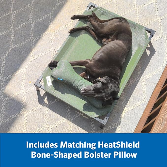 Coolaroo Pro Elevated Dog Bed with HeatShield Fabric – Advanced Cooling Raised Cot for Small & Medium Breeds, Easy-Clean, Low-to-Ground Access, Bonus Bolster Pillow – Everglade Green