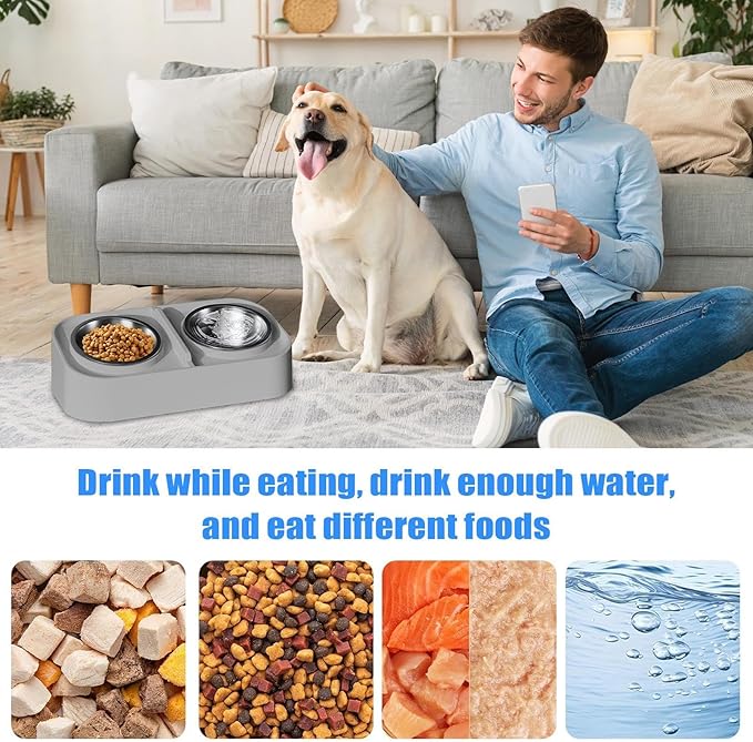 Cat Water and Food Bowl - Kitten Feeding Bowl Set, Slanted Non Slip Pet Feeder, Durable Food and Water Dish | Apartment City Living Home Travel for Apartment City Living Home Travel