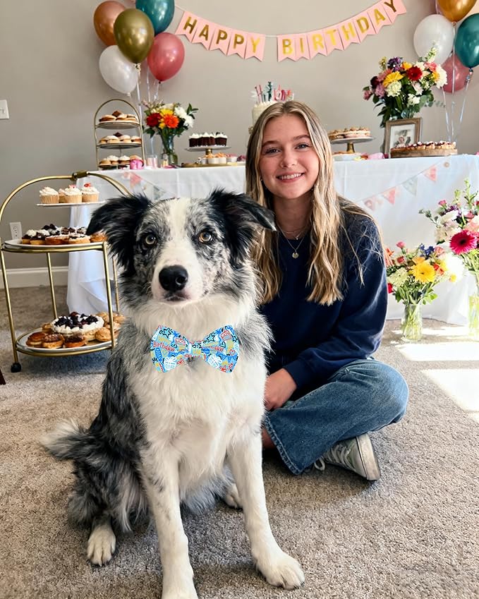 PET SHOW 10 Pack Happy Birthday Big Dog Bow Ties Sliding Collar Attachment Pet Bowties for Medium Large Dogs Party Balloon Cake Bowknots Collar Charms Grooming Accessories