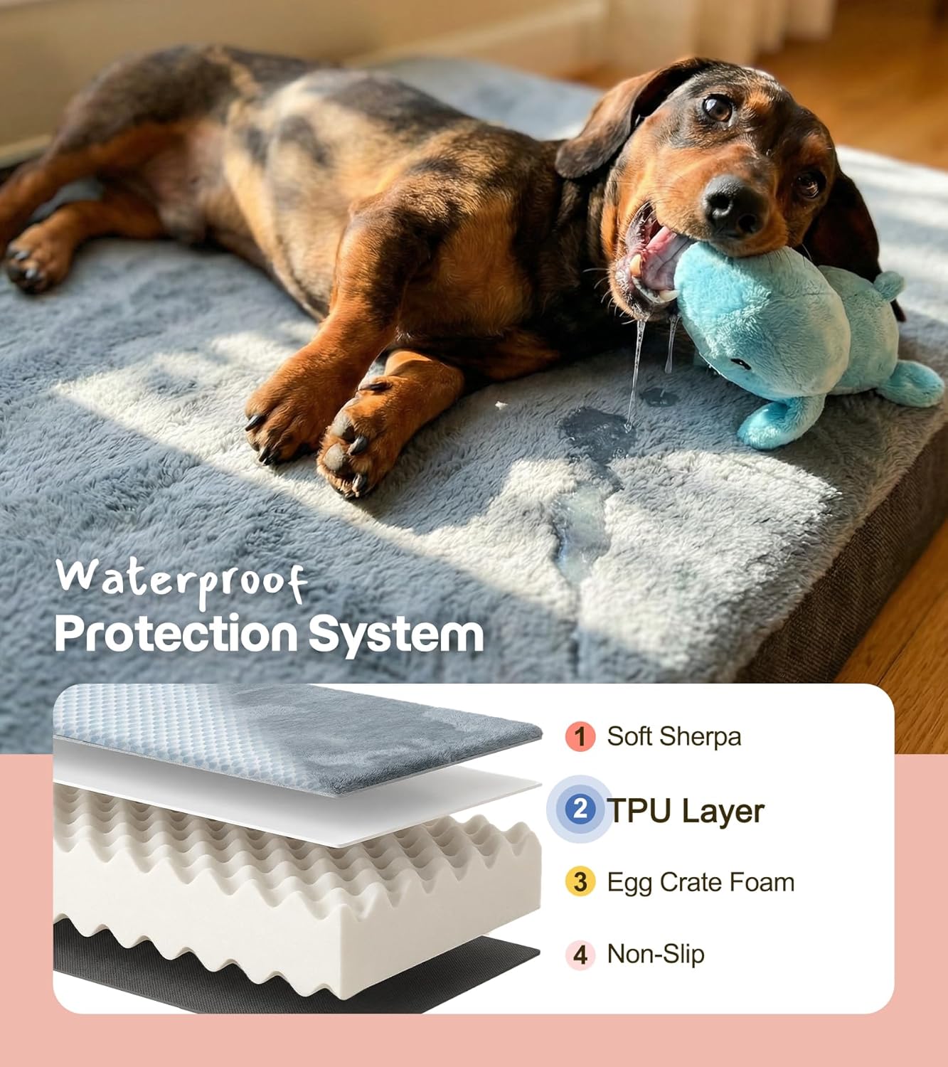Orthopedic Dog Bed with Dual-Season Covers — Waterproof, 35×22”, Up to 30lbs