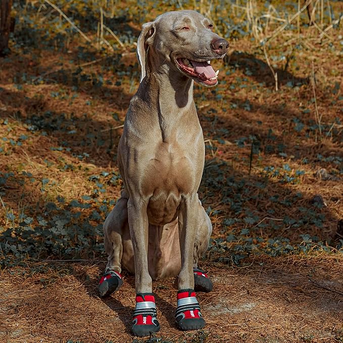 Dog Shoes, 4 PCS Dogs Booties Hot Pavement, Waterproof Non-Slip with Reflective Strips, Large Medium Small Puppy Paw Protector for Walking