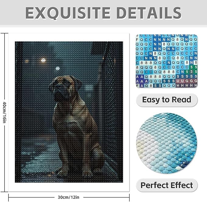 TZTTZT Diamond Art Kits for Adults - Calm Dog in Rainy Alleyway Diamond Painting Kits for Adults Beginner, 12x16 in Frameless Diamond Painting Kit for Home Wall Decor
