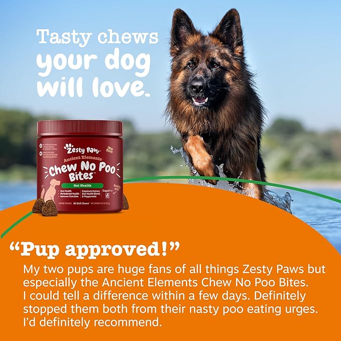 Zesty Paws Chew No Poo Bites for Dogs - Stool Eating Deterrent Soft Chews for Dogs - Gut, Periodontal & Immune System Support - Premium DE111 Bacillus subtilis Probiotic - AE Bison - 90 Count