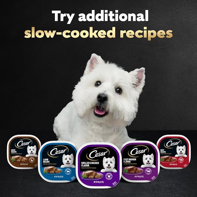 Cesar Wet Dog Food Classic Loaf in Sauce, Filet Mignon Flavor and Porter House Flavor, 3.5 oz. Easy Peel Trays, 12 Count (Pack of 2)