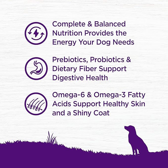Wellness Complete Health Dry Dog Food, Wholesome Grains, Chicken & Oatmeal, (38-Pound Bag)