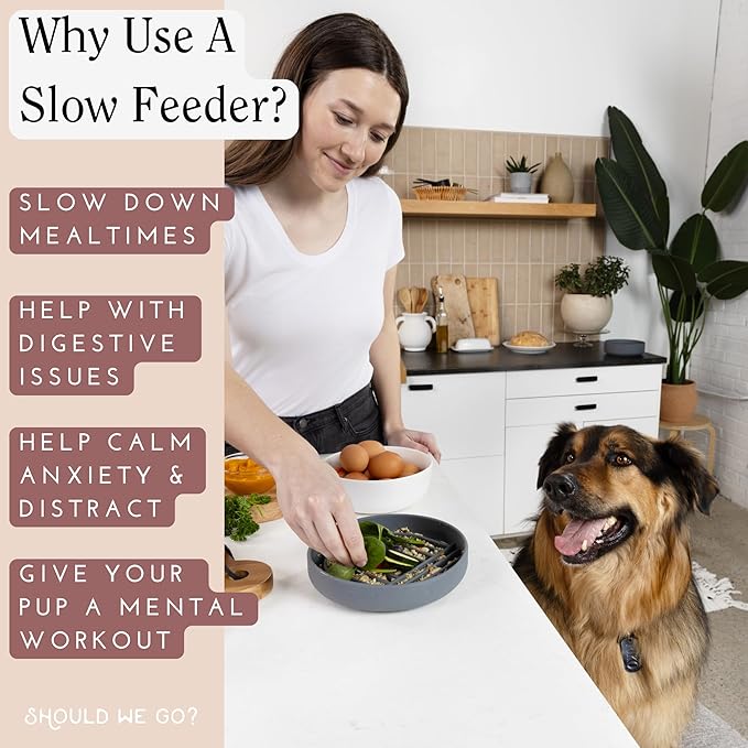 Should We Go? Silicone Pet Feeding Set - Slow Feeder Bowl, Waterproof Mat & No-Spill Water Bowl, Non-Slip, Easy-to-Clean, Durable, Large-Terracotta for Dogs & Cats