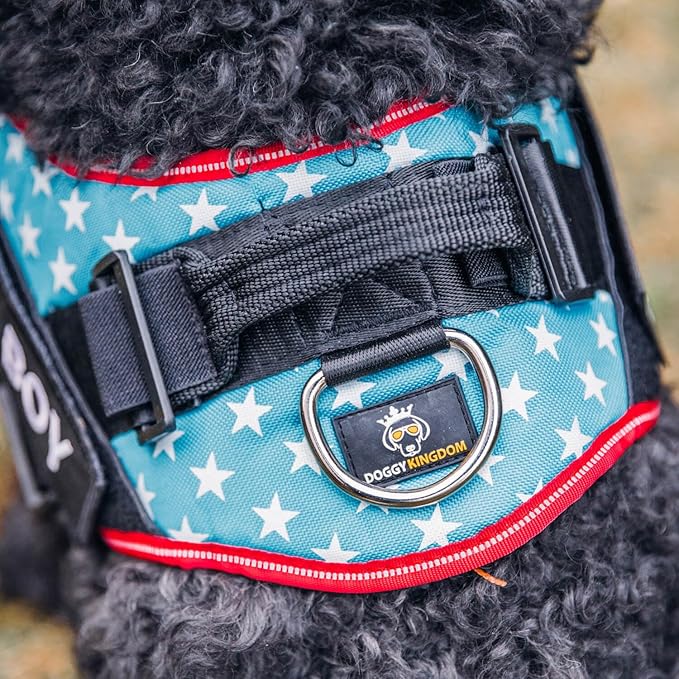 Non Pull Dog Harness with Patch Panels and Handle, Adjustable, Reflective, No Choke, Heavy Duty Easy On Service Dog Vest Harnesses for Medium Large Small Sized Dogs - Red, L