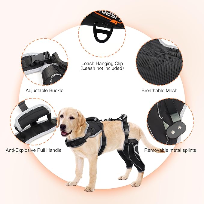 Dog Knee Support for ACL Tear Rehabilitation and Dislocated Patella -Adjustable Leg Support and Sufficient Breathability,Injury Recovery and Balance Assistance-Both Leg-M Size