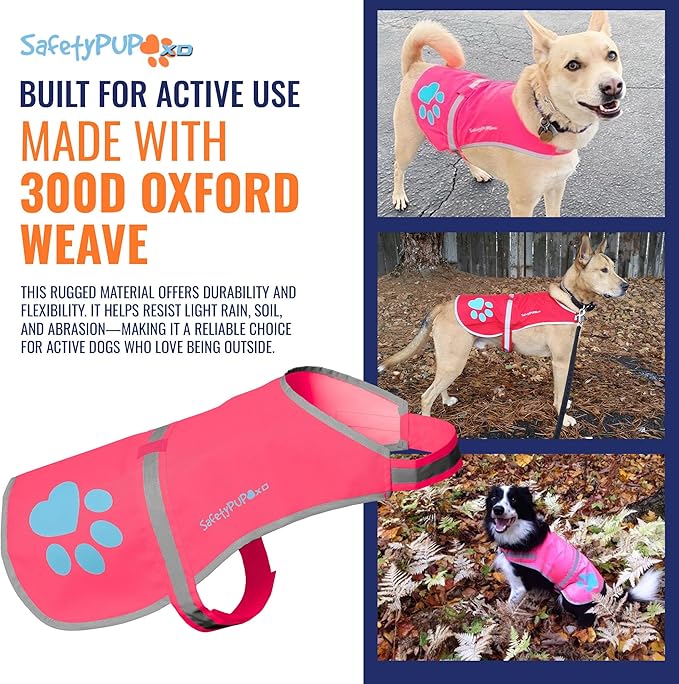 SafetyPUP XD Dog Reflective Vest – Hi-Vis Fluorescent Visibility That Helps to Safeguard Your Pet On/Off Leash in Urban & Rural Areas (Pink, Small)