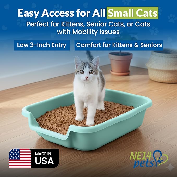 KittyGoHere Senior Cat Litter Box, Small litter pan with Long-Handle Jumbo Scoop, Open Top Low Entrance Kitty Litters Box, Lightweight Low Entry Litter Box, Durable, Made in USA (2 Pack - Apple Green)