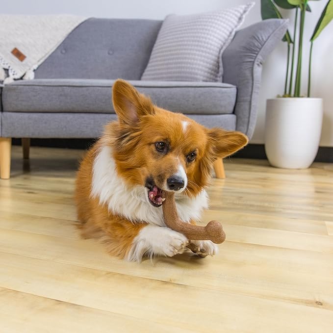 Pupstages Dogwood Jack Dog Chew Toy – Real-Wood Blend, Bacon Scented, 4 Chewable Ends, Moderate Chewers, Large, 7.5" x 2"