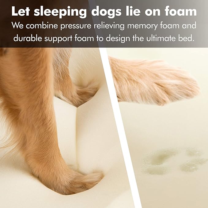 Friends Forever Small Dog Bed, Orthopedic Sofa Memory Foam Mattress, Calming Couch, Wall Rim Pillow, Water Resistant Liner, Washable Cover, Non-Slip Bottom, Chester, Small Khaki Beige