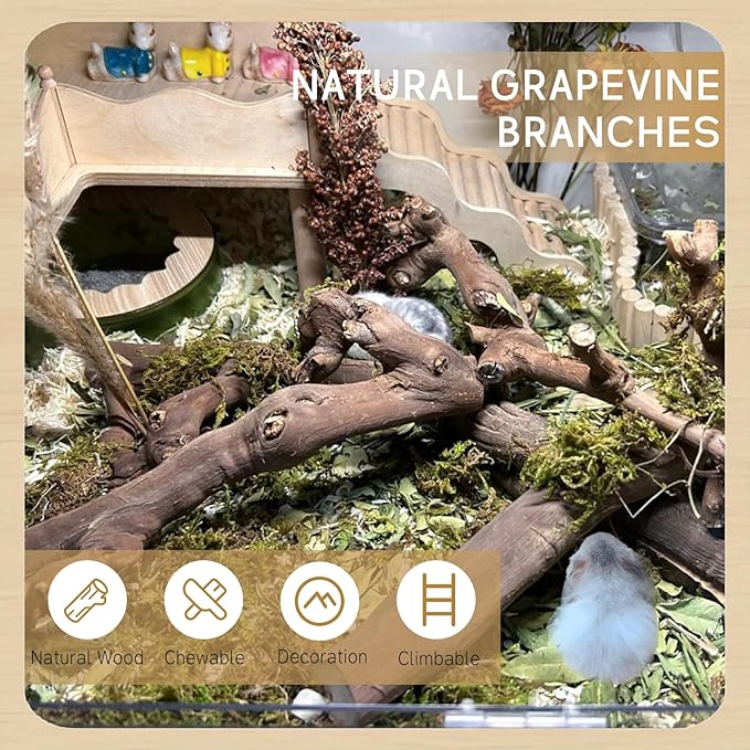 kathson 2PCS Wood Hamster Climbing Branches Decor, Natural Wooden Syrian Hamster Climb Chewing Toys, Rat Exercise Toys, Small Animal Habitat Decor Accessories for Dwarf Pets, Gerbils, Mice (5.9 in)