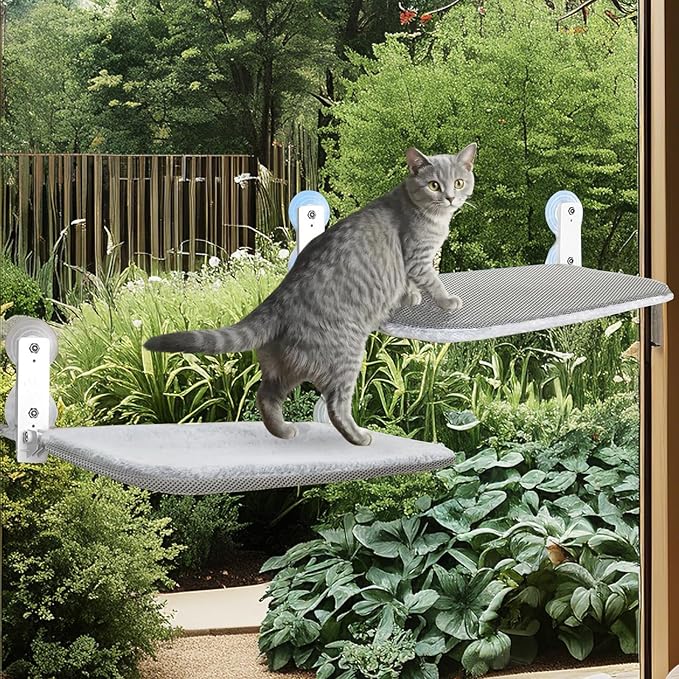 2PC Cat Window Perch, Cordless Foldable Cat Hammock for Indoor Cats with Upgraded Suction Cups Strong Metal Frame Holds Up to 44lbs (M 2PC)