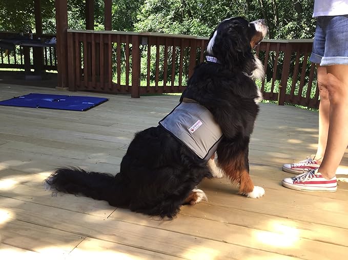 CoolerDog Dog Cooling Vest and Cooling Collar - Ice Vest for Dogs Large (27" to 34" Girth)