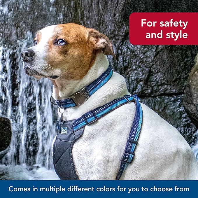 Coastal Pet K9 Explorer Reflective Adjustable Dog Collar - Comfortable Collar for The Outdoors - Durable, Lightweight Accessory with Side-Release Buckle - Orchid, 5/8" x 8-12"