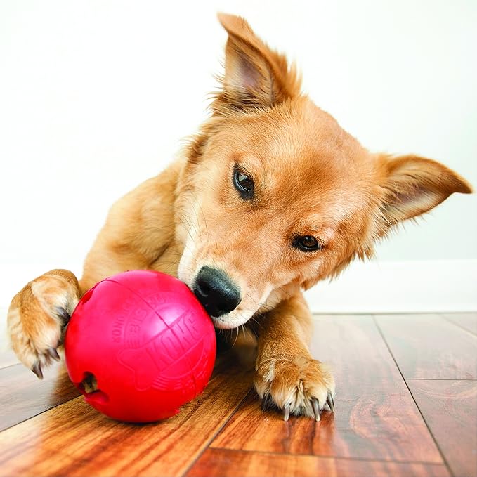 KONG - Biscuit Ball - Durable Rubber, Treat Dispensing Toy - for Large Dogs