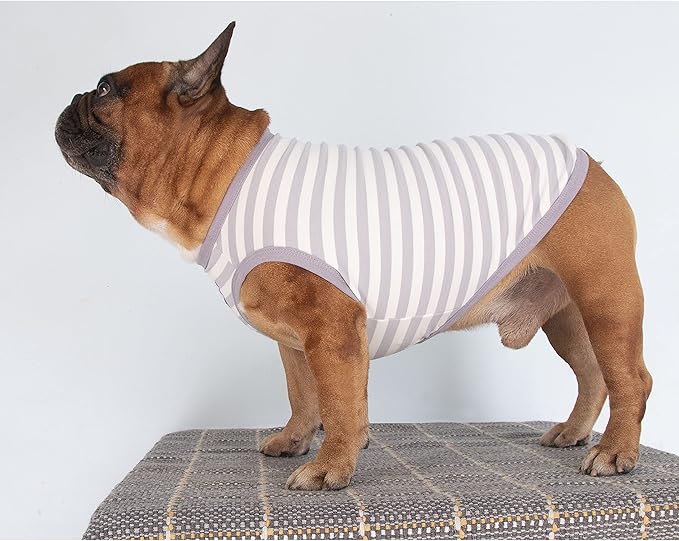 iChoue French Bulldog 100% Breathable Cotton Striped T Shirts Halloween Vest Clothes for Medium Dogs Tank Tops Frenchie Pug English Boston Terrier Pitbull Grey White Stripes - Large Plus