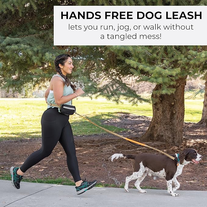 Squirrel Products Hands Free Dog Leash with Hip Belt/Crossbody Strap, Zipper Pouch, and Shock Absorbing Bungee for Walking or Jogging with pet (Tan, Orange)