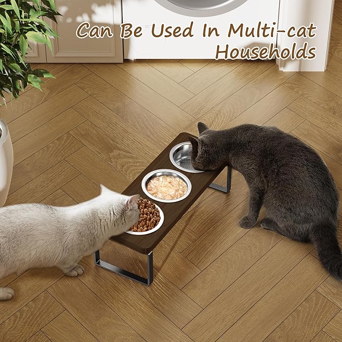 2 Pack Elevated Cat Bowls with 3 Stainless Steel Bowls | 10° Tilted Anti-Vomiting Raised Cat Food Bowl for Small Cats and Puppies Pet Bowl with Stand