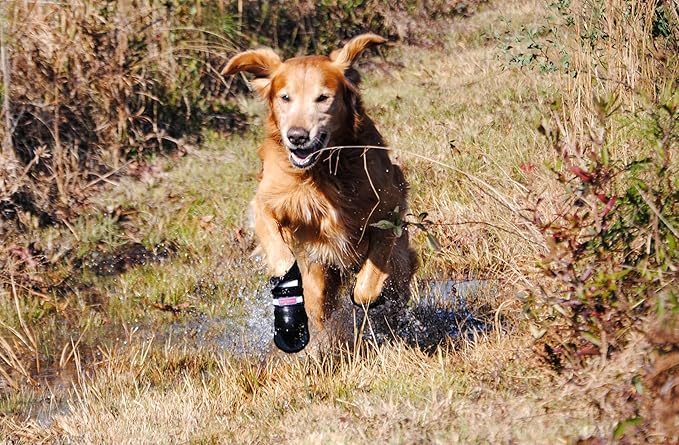 All Weather Neoprene Paw Protector Dog Boots with Reflective Straps in 5 Sizes! (Black Large)