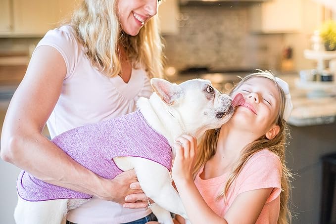 Goldpaw Dog Sun Shirt with UV Protection - Lightweight, Cooling Sun Protection Clothing for Dogs - Reduce Heat Absorption - Pet Clothes Made in The USA - Machine Washable - Violet - Size 28