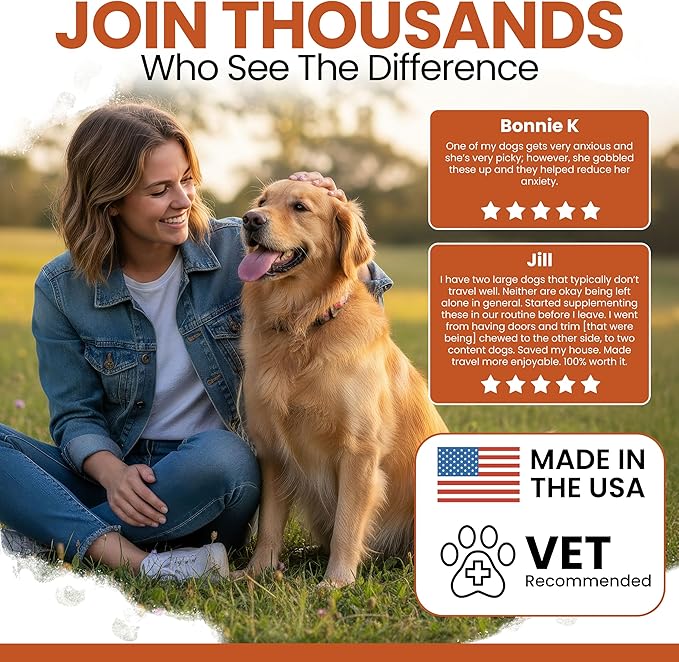 Dog Calming Treats - 2PK - 120 Soft Calming Chews for Dogs - Stress Relief Thiamine & L-Tryptophan for Travel & Storms - Anxiety Supplement with Ginger and Melatonin - Made in The USA