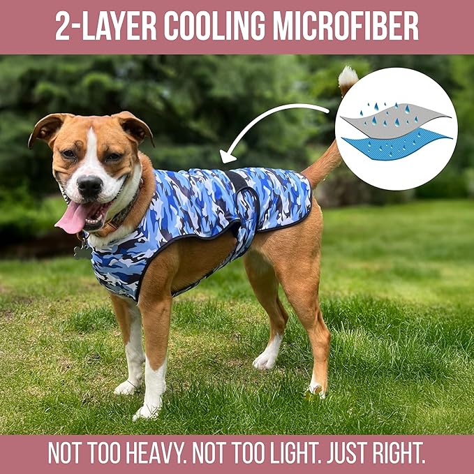 Dog Cooling Vest - 2-Layer Cooling with Soft Microfiber Fabric - Lightweight, Adjustable and Comfortable - UV Protection for Small to Large Dogs - Relief in Hot Weather (Blue, Large)