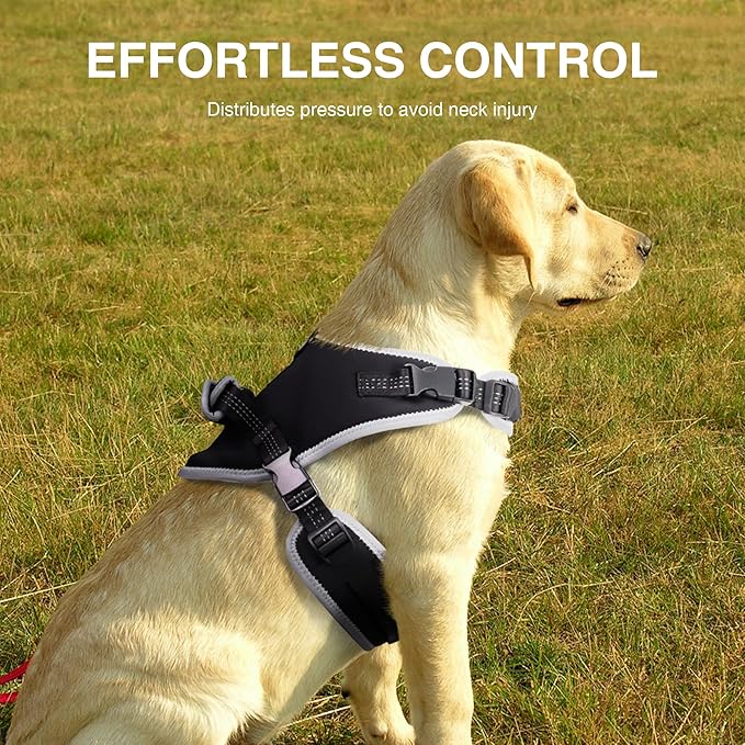 Dog Knee Support for ACL Tear Rehabilitation and Dislocated Patella -Adjustable Leg Support and Sufficient Breathability,Injury Recovery and Balance Assistance-Both Leg-M Size